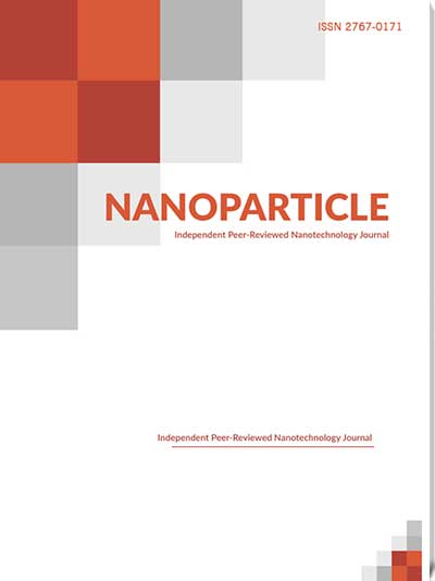 Nanoparticle